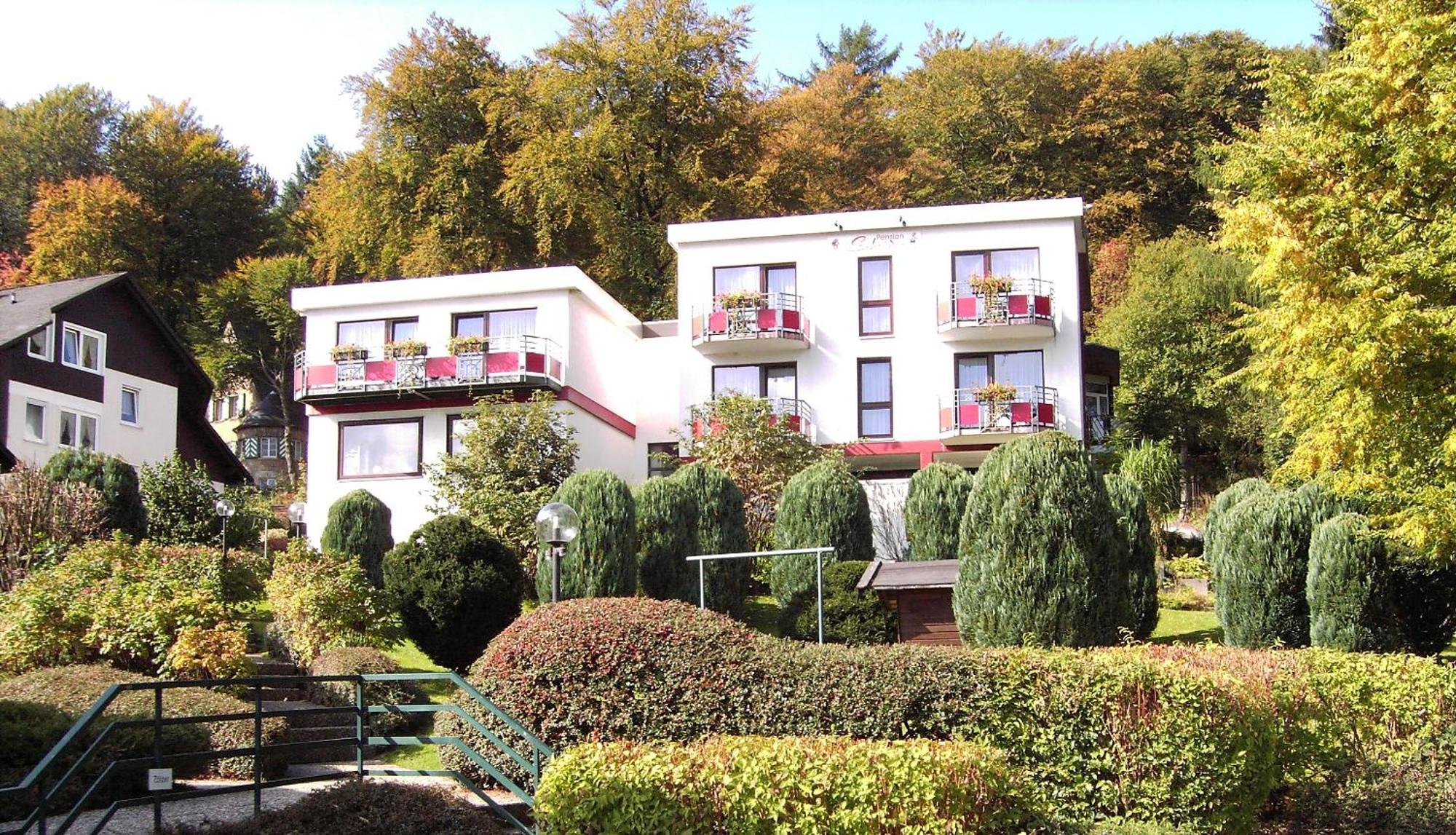 Hotelpension Schroeder Willingen (Upland) Exterior foto