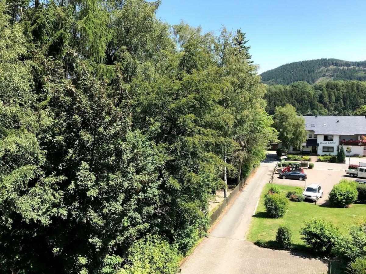 Hotelpension Schroeder Willingen (Upland) Exterior foto