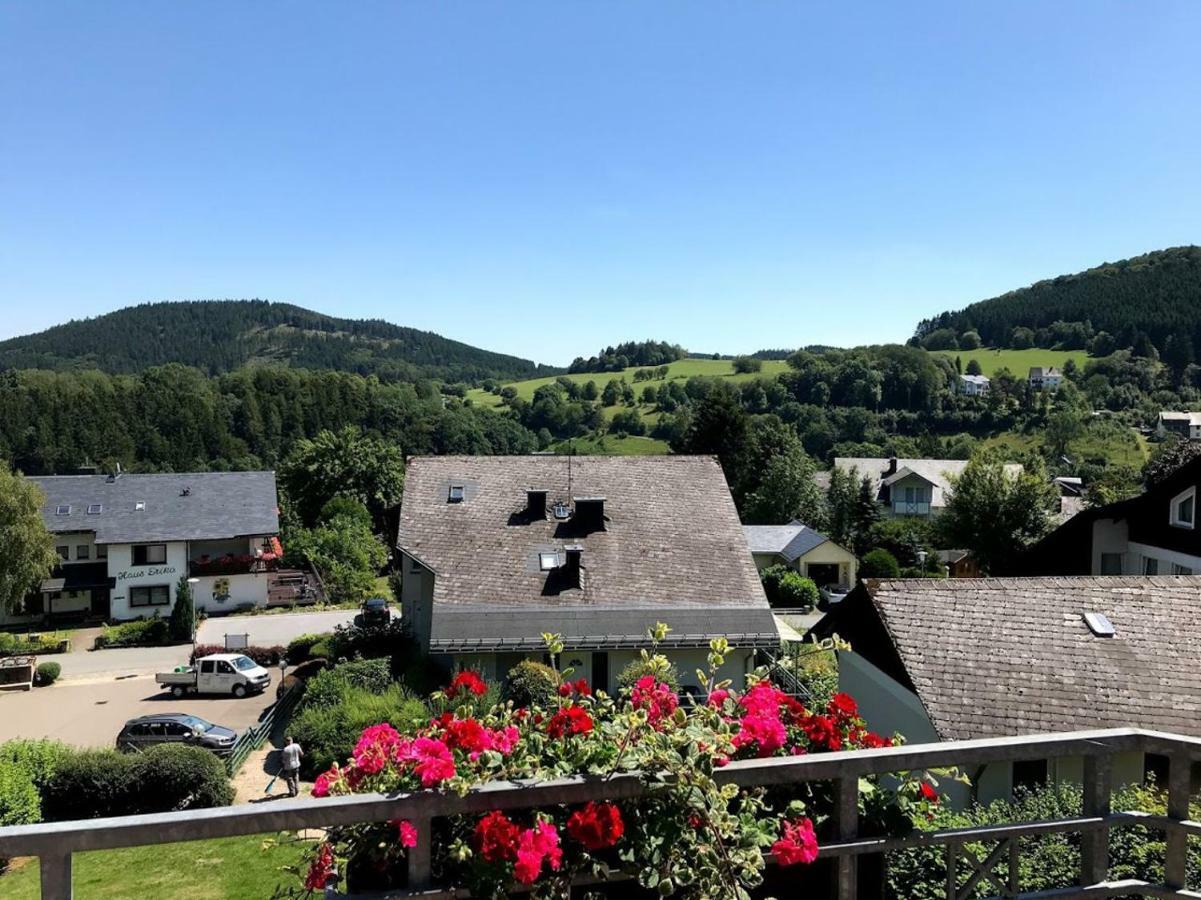 Hotelpension Schroeder Willingen (Upland) Exterior foto